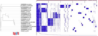 Aeromonas species isolated from aquatic organisms, insects, chicken, and humans in India show similar antimicrobial resistance profiles